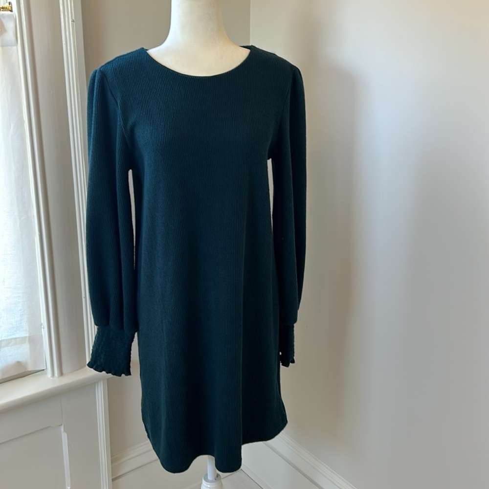 Wintergreen sweater dress, size Large